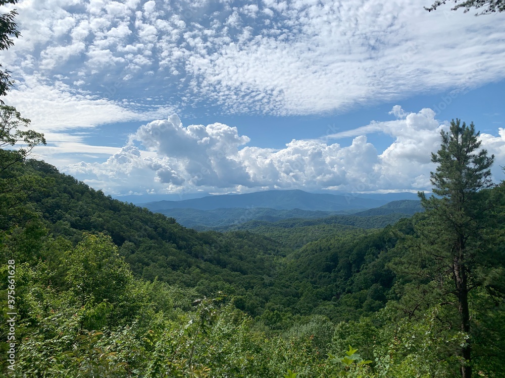 Tennessee Mountain View