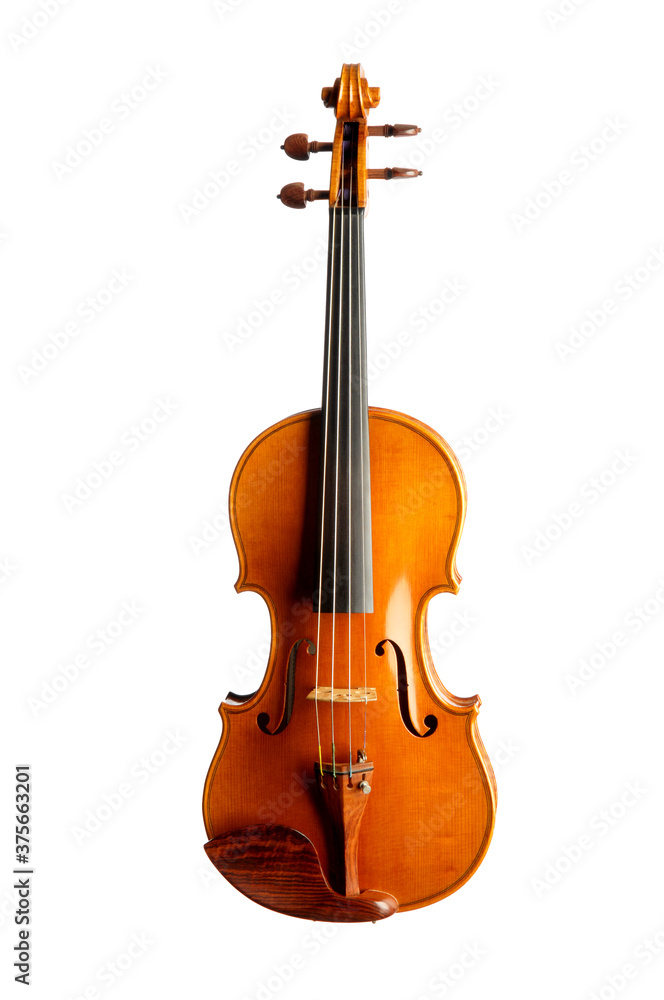 Obraz premium Modern new Violin with rosewood pegs tailpiece and chinrest isolated on white background