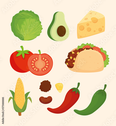 set, delicious ingredients for prepare food mexican vector illustration design
