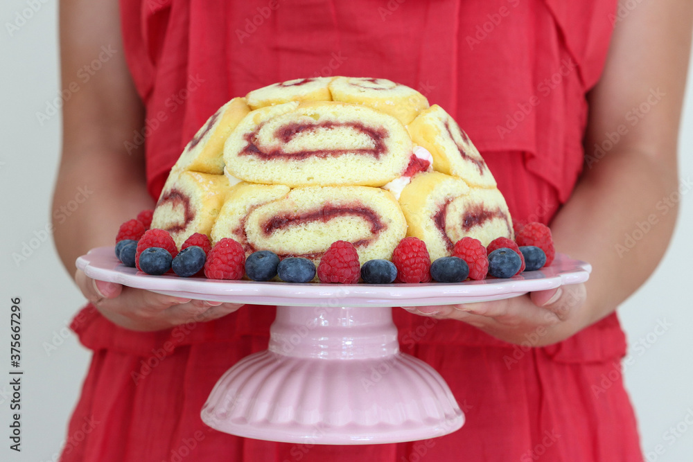 Himbeer-Blaubeer-Charlotte auf Tortenplatte in Frauenhänden Stock Photo ...