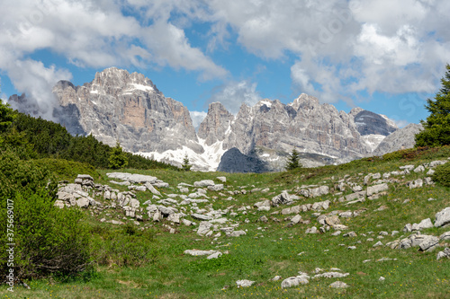 Meadow in the beautiful alpine landscape of the "Dolomiti Paganella" area. Brenta mountain group covered with snow and glaciers is visible in distance. Andalo - Trentino, Italy