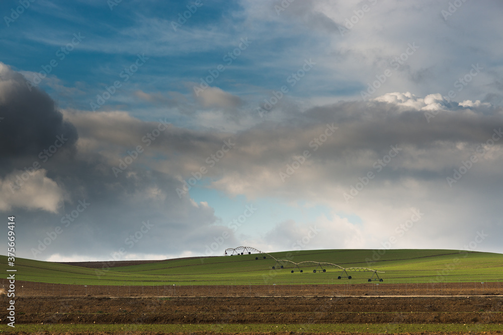 Landscapes of corn in an agricultural area of Lleida, Spain. Landscapes of corn in an agricultural area of Lleida, Spain.