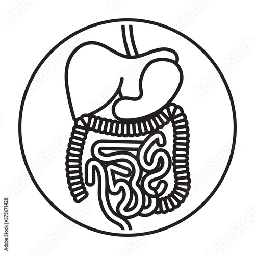Rounded the human digestive system organs line art vector icon for apps and websites