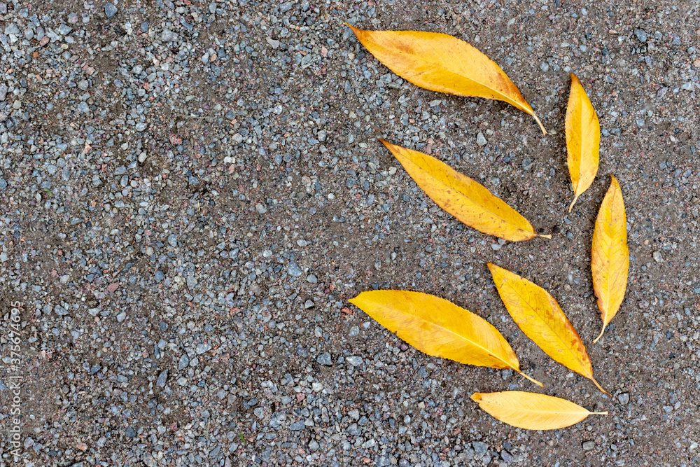 Yellow autumn leaves lying on a gravel background, the form of leaves like they are flying blown away by the wind, copy space Yellow autumn leaves lying on a gravel background, the form of leaves like they are flying blown away by the wind, copy space