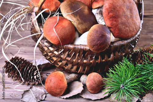 Edible mushrooms, porcini and boletus in a wicker basket on a natural wooden background closeup