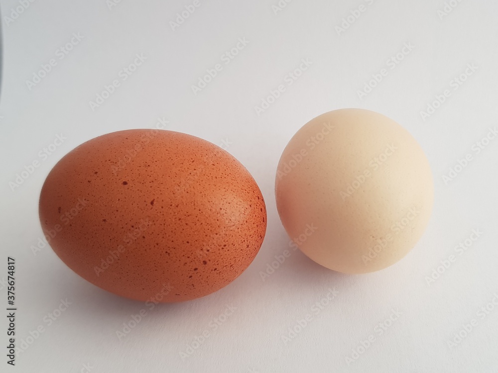 eggs isolated on white background eggs isolated on white background