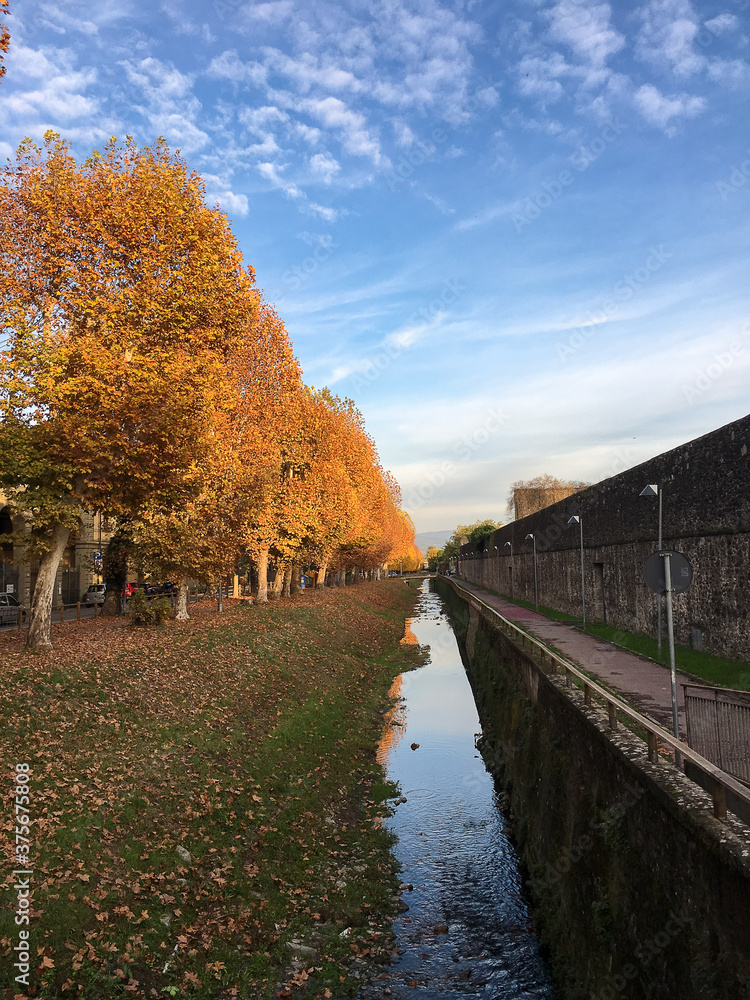landscape with trees and field orange by autumn, water channel and big wall