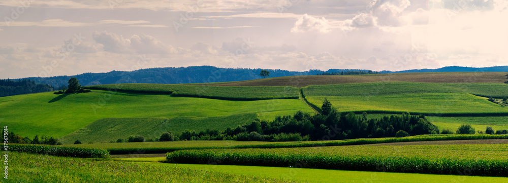 weite offene landschaft, grüne frische wiese, im hintergrund die alpen, bäume und waldrand, leicht bewölkt, panorama oder banner