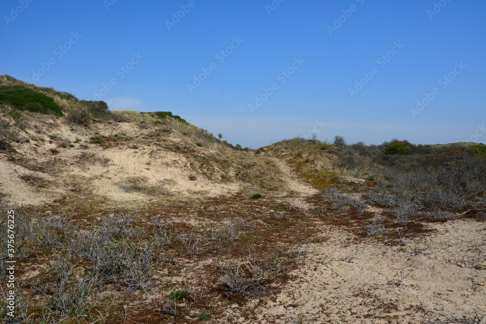 Nationalpark Süd-Kennemerland