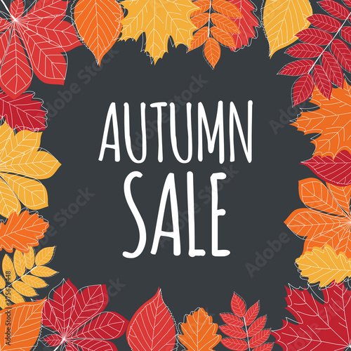 Autumn Sale Background Template with leaves. Special offer. Limited Time. Vec...