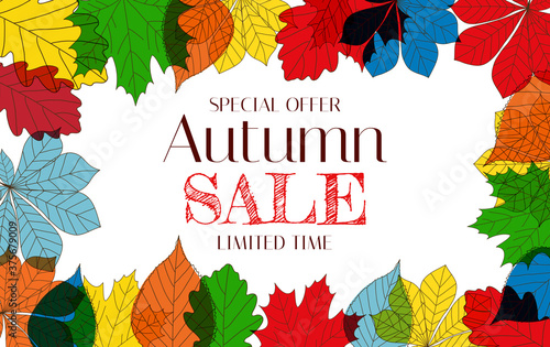 Autumn Sale Background Template with leaves. Special offer. Limited Time. Vec...