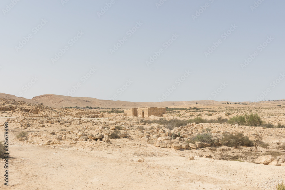 Desert landscape in Mamshit. The Israel national reserve.
