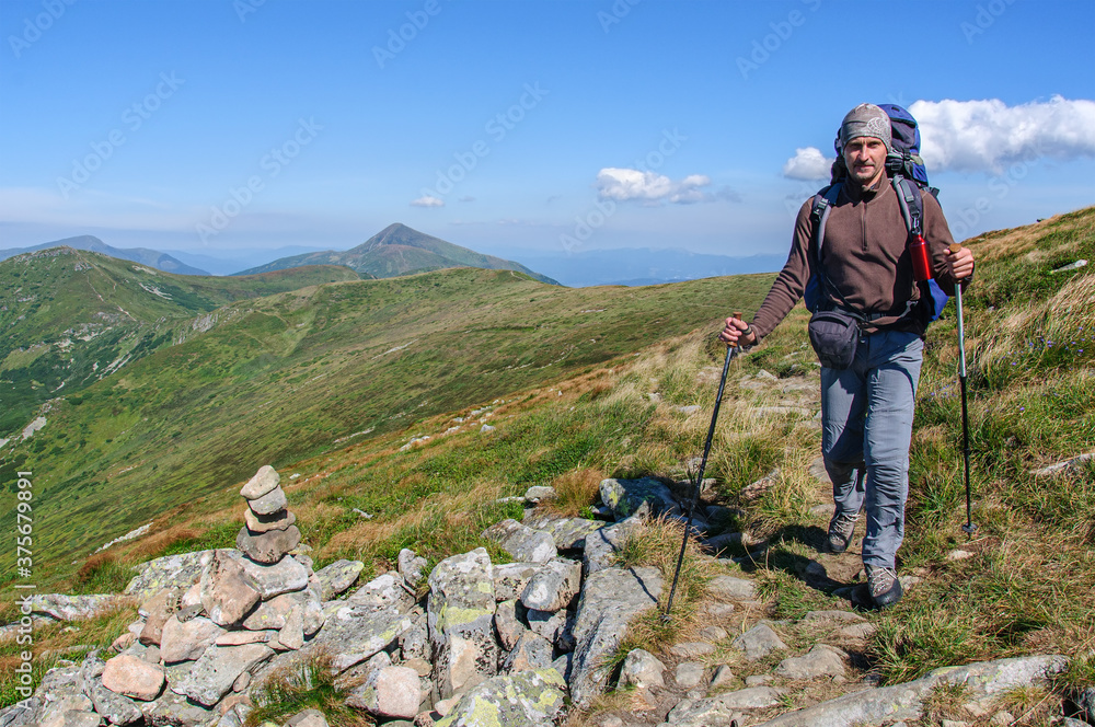 A sports man with a large backpack and trekking poles in his hands walks along a mountain trail in the Carpathian Mountains. Ukraine