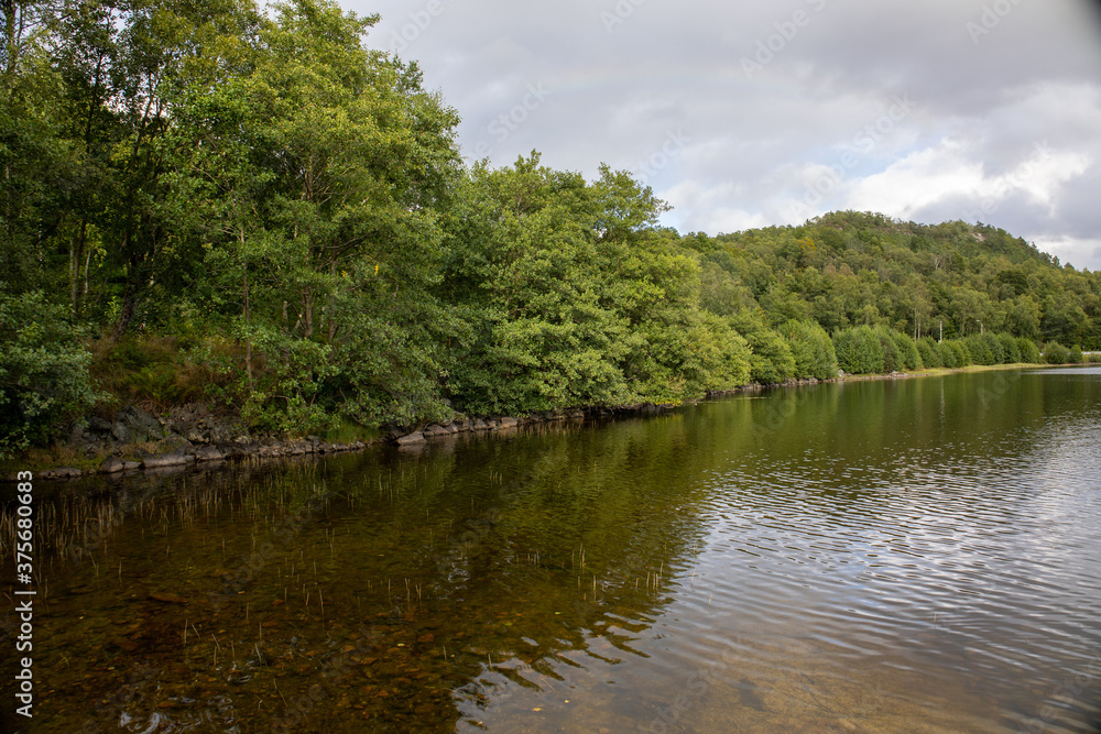 lake in the forest