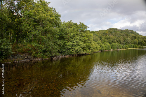 lake in the forest