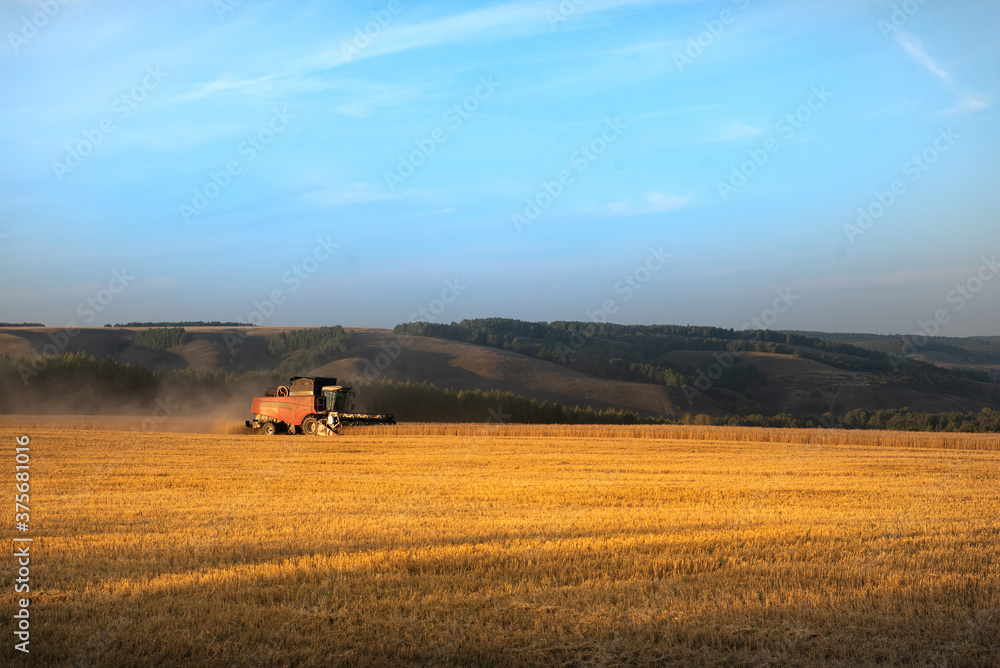 Fototapeta premium Mountain landscape. The harvester harvests wheat at a beautiful sunset.