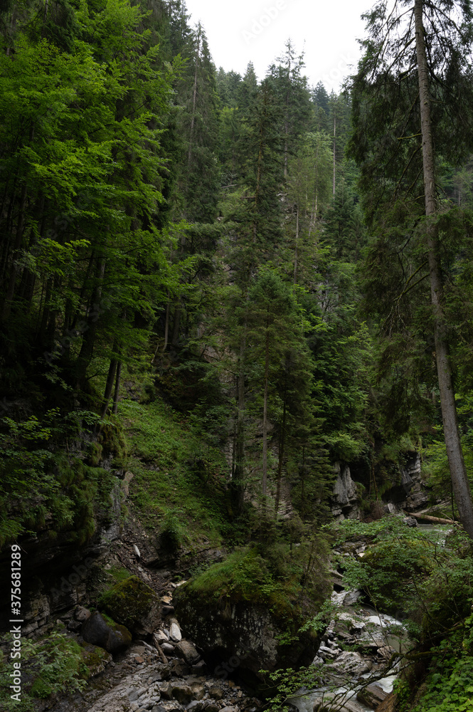 Fototapeta premium Breitachklamm gorge in the Allgau Alps, Bavaria, Germany