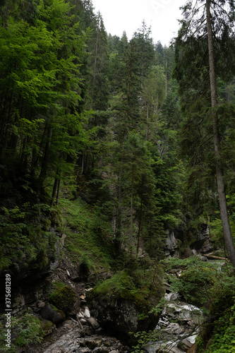 Breitachklamm gorge in the Allgau Alps  Bavaria  Germany