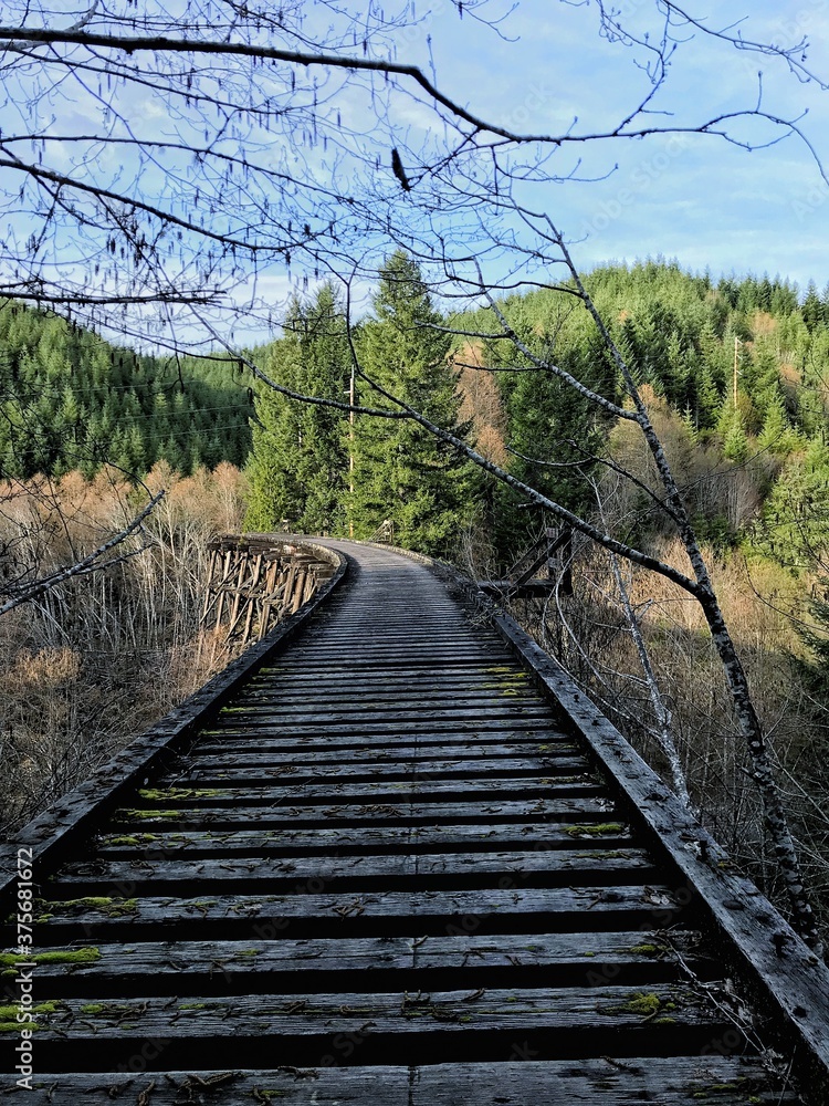 Fototapeta premium railway in the forest