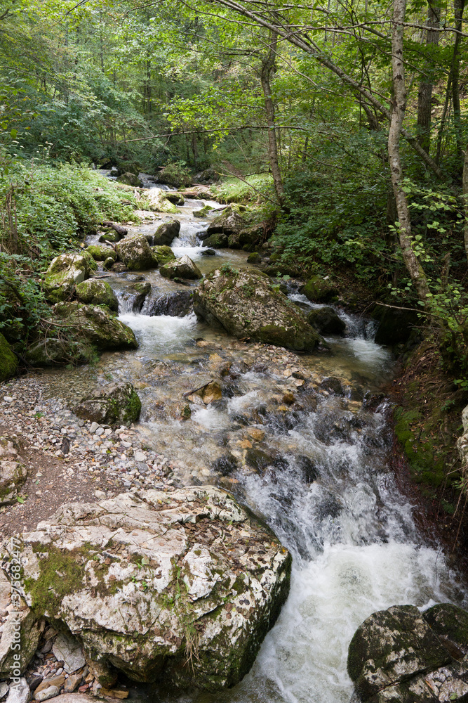 Transparent cold water of a mountain river flows between picturesque summer stones against a background of green trees close up. Transparent cold water of a mountain river flows between picturesque summer stones against a background of green trees close up.