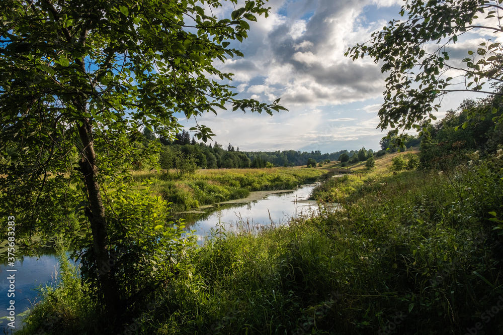 Fototapeta premium Small river Sunzha on a summer sunny day, Ivanovo region, Russia.