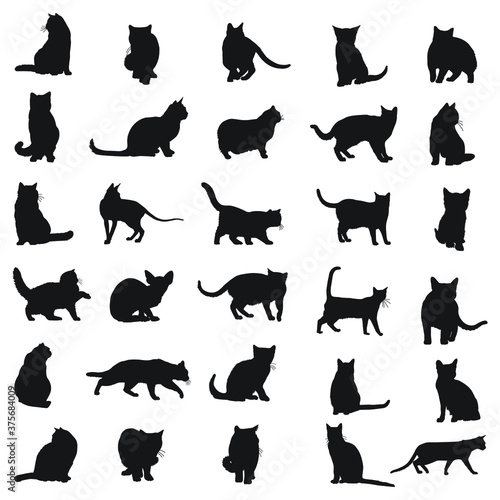 Fototapeta Naklejka Na Ścianę i Meble -  Cats silhouettes set of 30 kitty