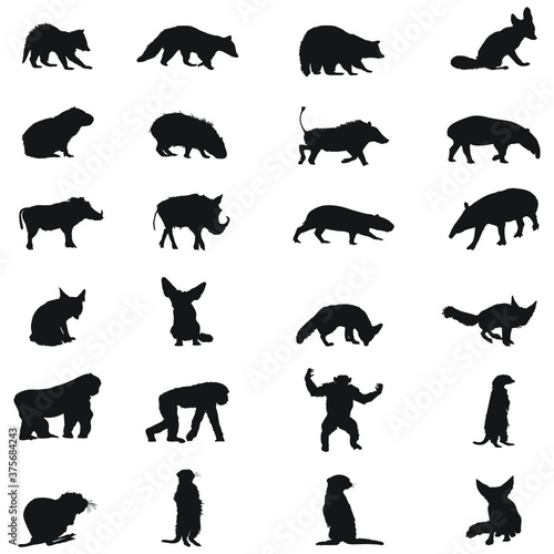 African wild Animals silhouettes set