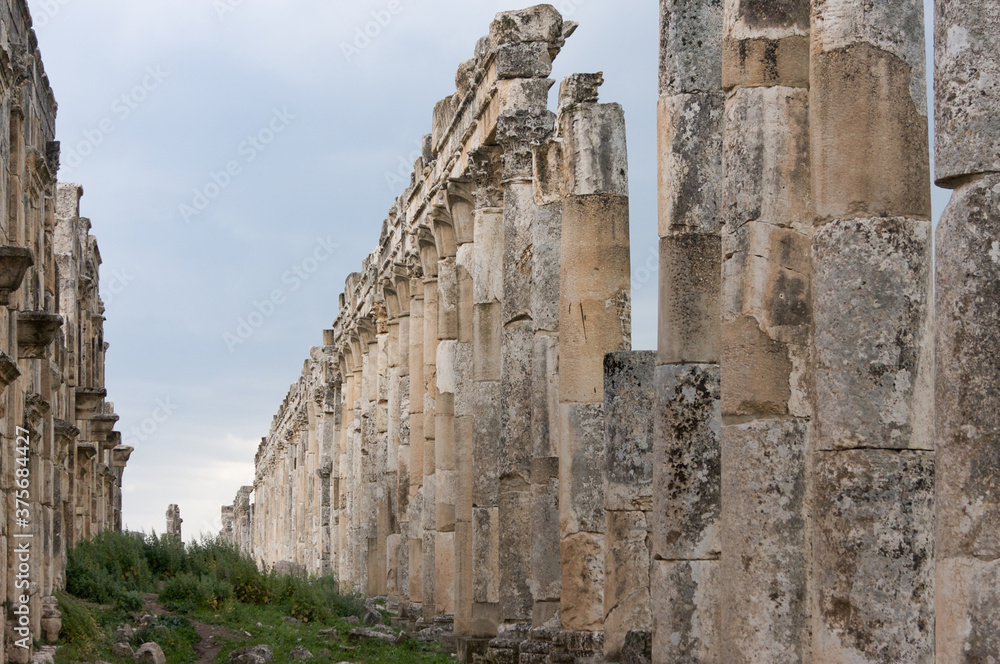 Apamea Syria, ancient ruins with famous colonnade before damage in the war Apamea Syria, ancient ruins with famous colonnade before damage in the war