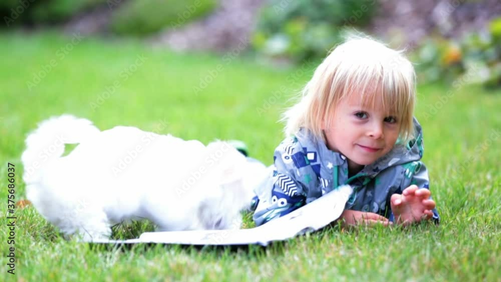 Little toddler child, blond boy, playing with little maltese puppy dog in garden Little toddler child, blond boy, playing with little maltese puppy dog in garden