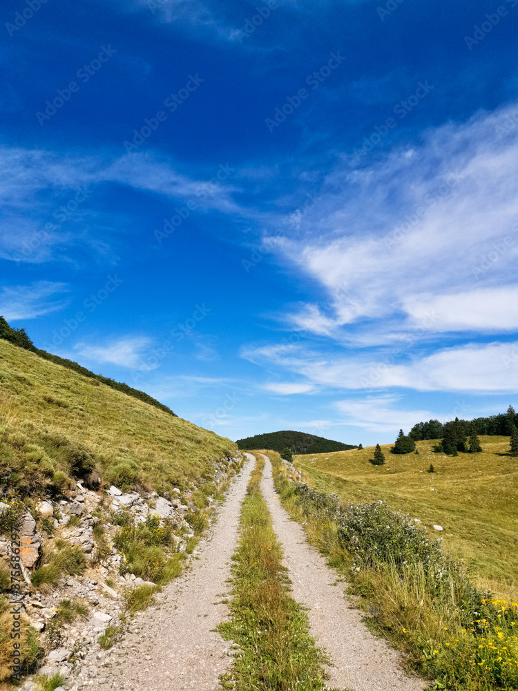 Rural dirty road leading through meadow on the Velebit mountain and blue sky