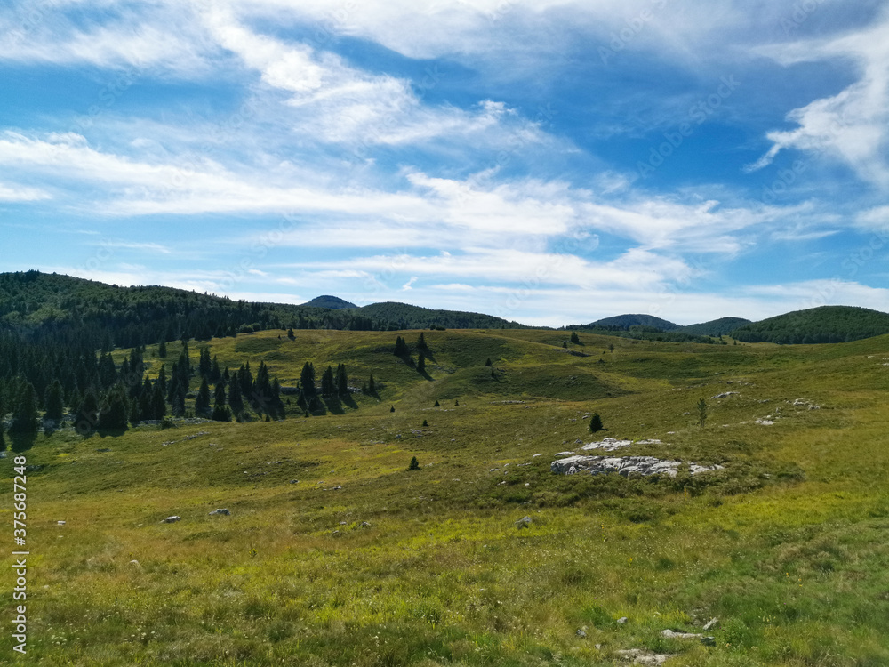 Beautiful green meadows and coniferous forest in the Northern Velebit National Park in Croatia