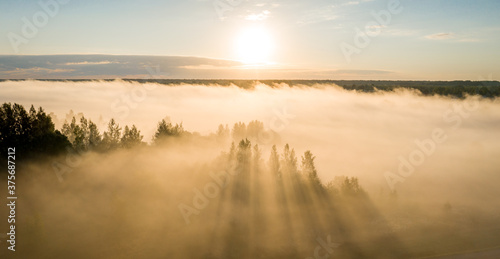 Fototapeta Naklejka Na Ścianę i Meble -  Early morning landscape over the river. Rays of the sun breaking through the fog in over the trees