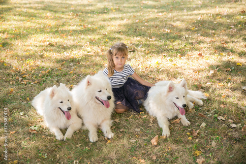 little cute girl with big white dogs. pets