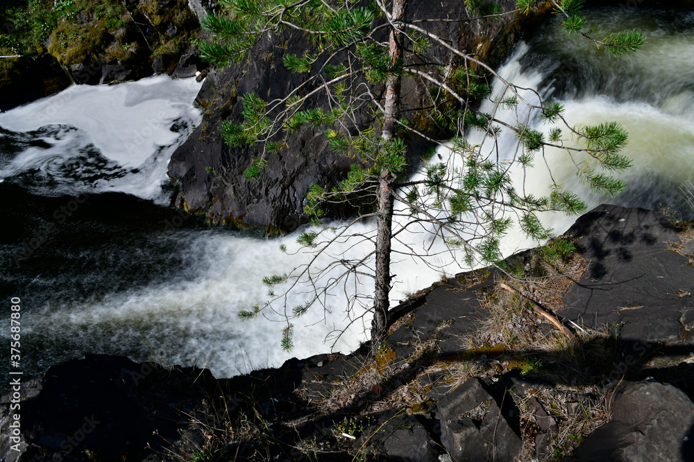 mountain northern waterfall among the trees in the wild forest mountain northern waterfall among the trees in the wild forest