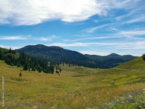 Beautiful green meadows and coniferous forest in the Northern Velebit National Park in Croatia