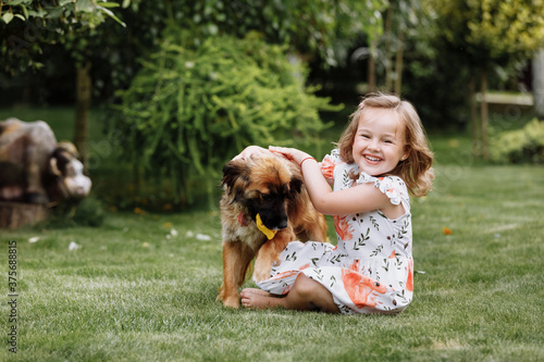 A cute little girl is playing with her pet dog outdooors on grass at home