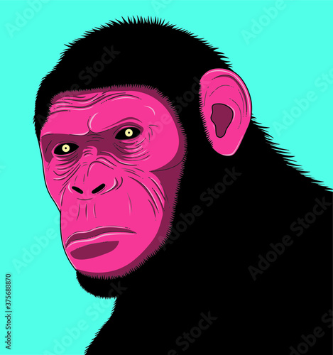 bad face gorilla. Vector illustration. 