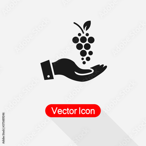 Grapes In The Hand Icon vector illustration Eps10