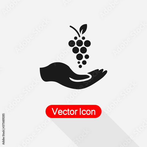 Grapes In The Hand Icon vector illustration Eps10