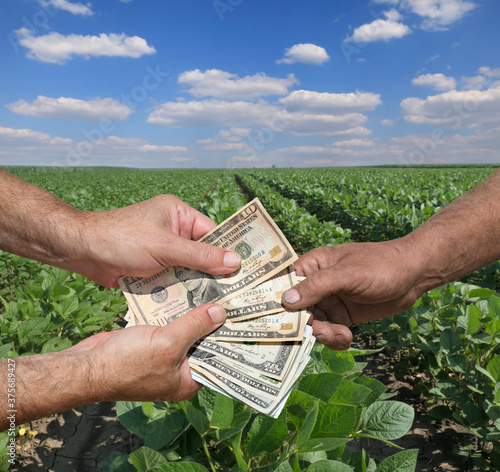 Farmer and buyer hands holding dollar banknote in green soy field with bkue sky and clouds photo