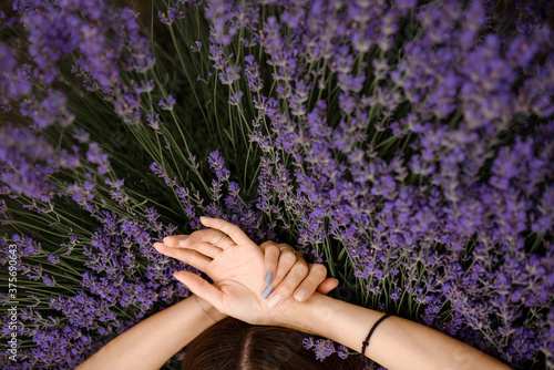 Fototapeta Naklejka Na Ścianę i Meble -  Woman's hands on the lavender flowers in the lavender field.
