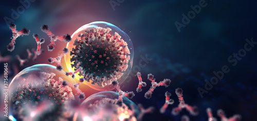 Cuadro en lienzo Virus under microscope
