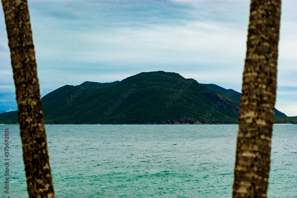 View between two palm trees of an island located in front of Fitzroy Island, Australia