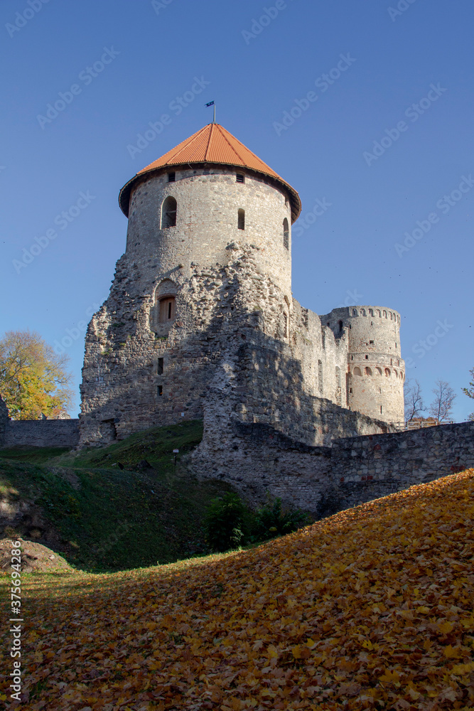 Autumn Park With Old Castle Ruins in Cesis, Latvia. 13th Century Ancient Livonian Castle