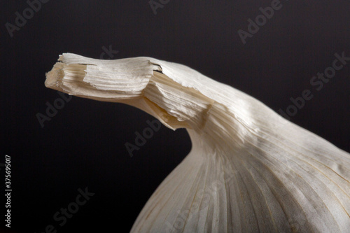 garlic on a black background