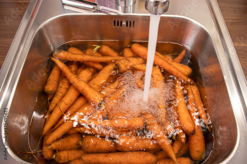 Carrots in a sink with water photo