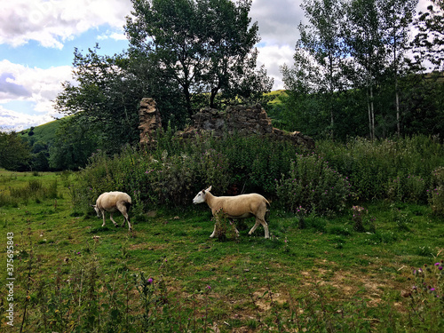 A view of the Shropshire Countryside near the Caradoc