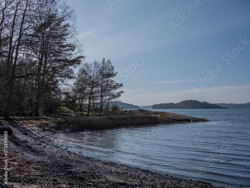 A tranquil beach shot in the early morning of a spring day. The sea is calm and the trees have no leafs yet. Some sea weed is washed up on the shore. It is a desolate and calm photograph.