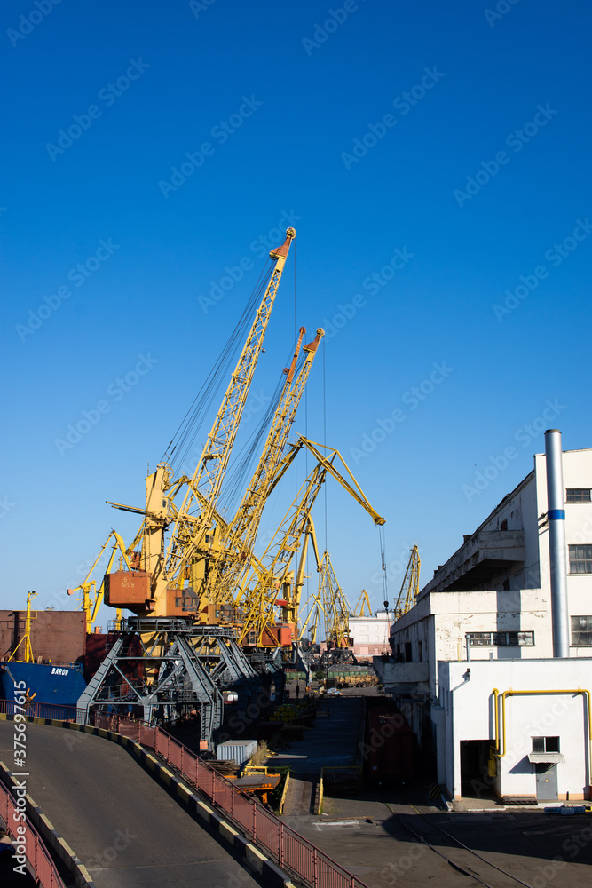 cranes in cargo port import export industrial photo cranes in cargo port import export industrial photo