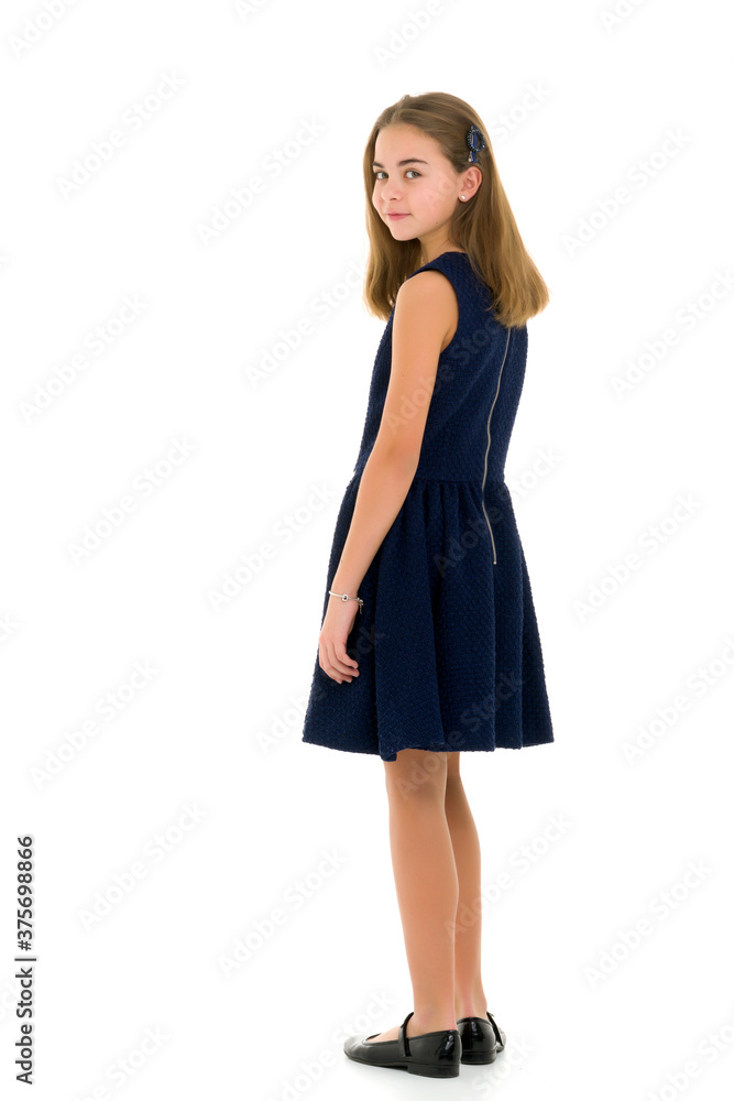 Little girl in an elegant dress.The concept of a happy childhood Little girl in an elegant dress.The concept of a happy childhood